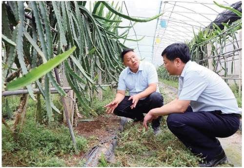 校地共建先行县　产教融合促振兴